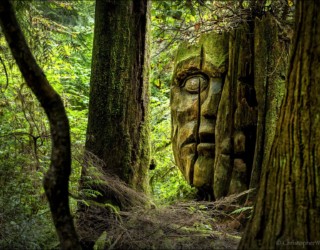 Aboriginal Forest Carving