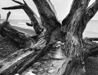 French Beach-Vancouver Island