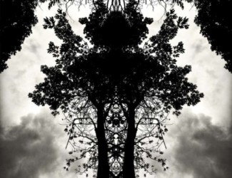 Rorschach Tree