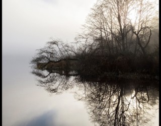 Reflections-Lost Lagoon