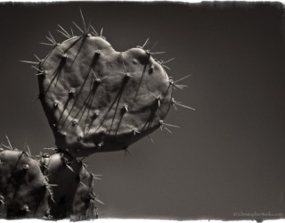 Sometimes Love Hurts