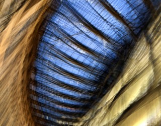 Architectural Texture