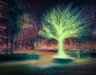 Electro-Luminescent Tree