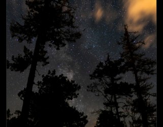 Northwest Starry Night