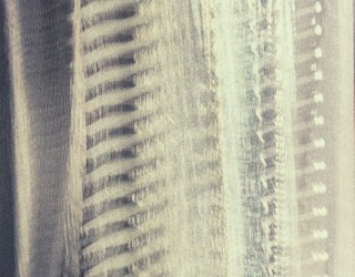 Light & Shadow Study